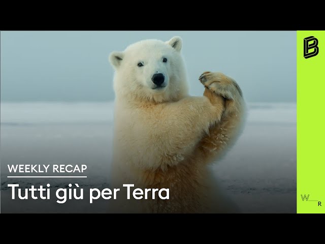 Tutti giù per terra