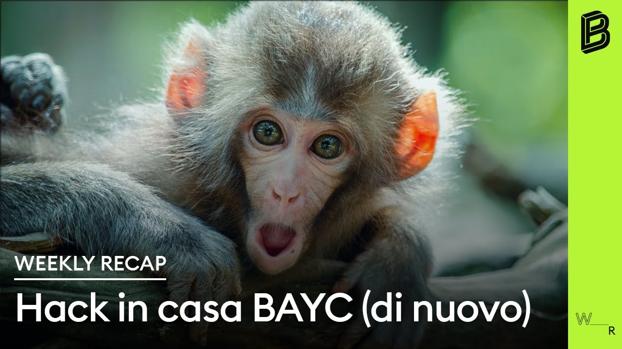 bitpanda-weekly-recap-10062022-notizie-investimenti